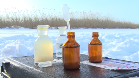 Амурские экологи ищут новые способы предотвратить замор рыбы в водоемах