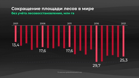 Мир в цифрах. Из-за чего исчезают леса?