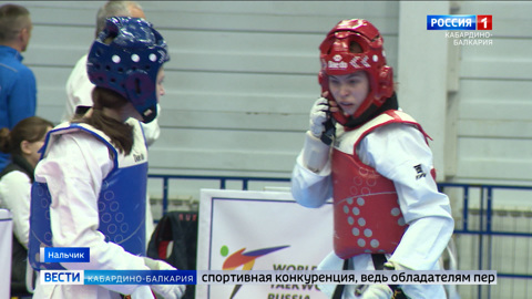 В Нальчике проходит Всероссийский мастерский турнир по тхэквондо “Кубок Эльбруса”
