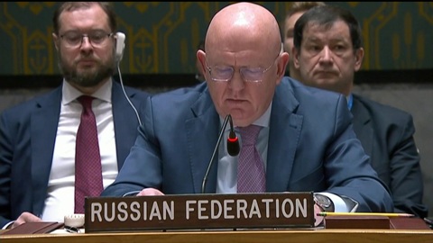 Небензя напомнил Совбезу о погибших детях Донбасса