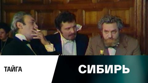 Тайга