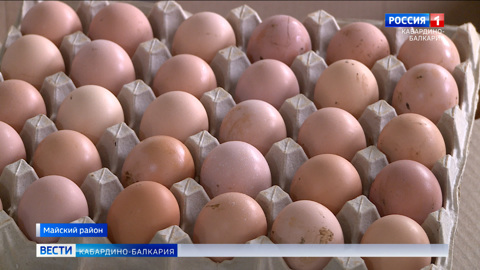 176 млн куриных яиц произвели в хозяйствах КБР на начало декабря