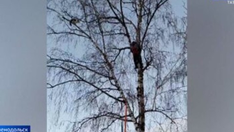 Эфир от 15.12.2022 (21:05)