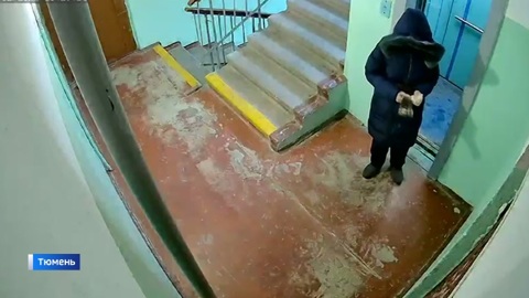 Жильцы тюменской многоэтажки страдают от неадекватного поведения соседки