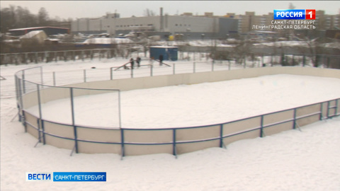 В Красном селе каток установили посередине площадки для дрессировки собак