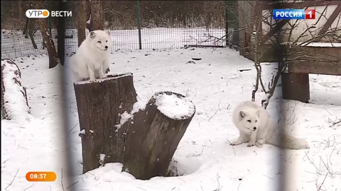 Эфир от 23.12.2022