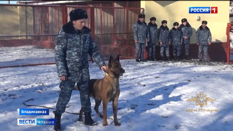 Четвероногие помощники: с начала года служебные собаки помогли раскрыть порядка 200 преступлений в республике