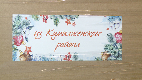 Девять грузовиков с новогодними подарками для бойцов отправились из Волгограда в зону СВО