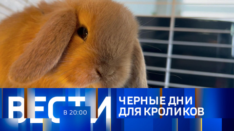 Эфир от 26.12.2022