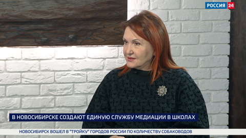 Единую службу медиации в школах создают в Новосибирске