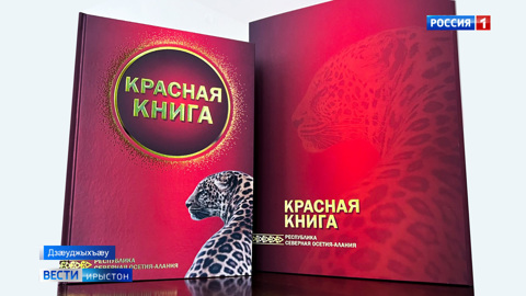 Цæгат Ирыстоны Сырх Чиныгмæ хаст æрцыдысты 4 сæдæ нæуæдз цæрæгойы æмæ зайæгойы хуызы