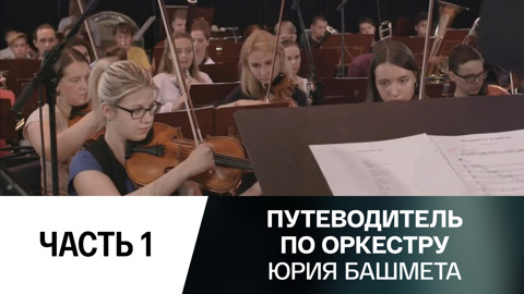Оркестр изнутри