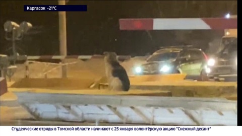 Эфир от 23.01.2023