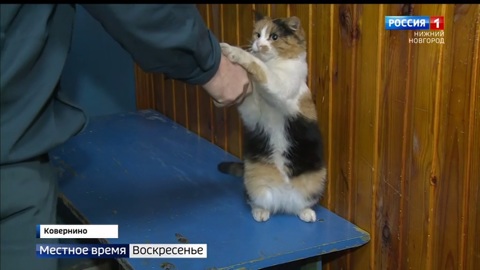 Эфир от 29.01.2023