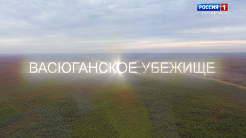 Творческая группа "Вести Новосибирск" сняла новый фильм "Васюганское убежище"