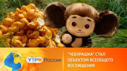 "Чебурашка" собирает полные залы по всей стране