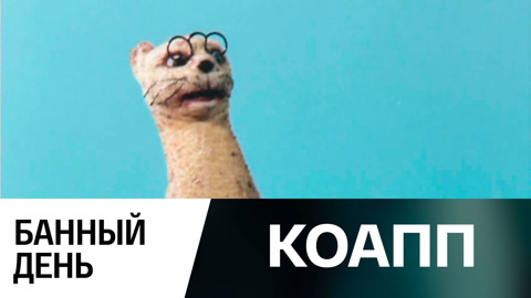 Банный день