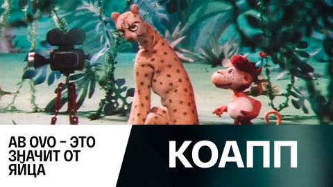AB OVO – это значит от яйца