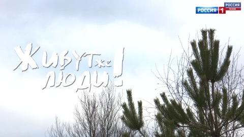 Живут же люди. Никандровы