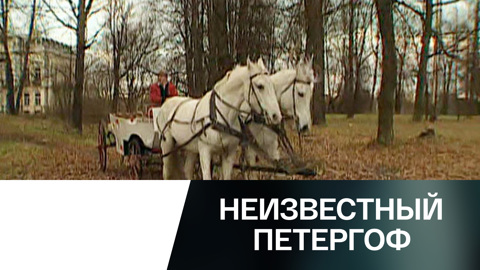 Петергофская дорога. Часть 2-я
