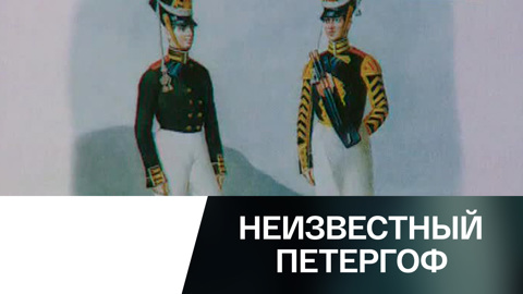 Петергофская гвардия