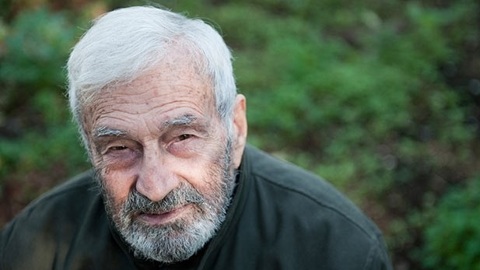 Скончался греческий писатель Алексис Парнис