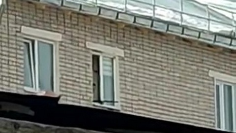 Житель Кировской области открыл стрельбу из окна квартиры