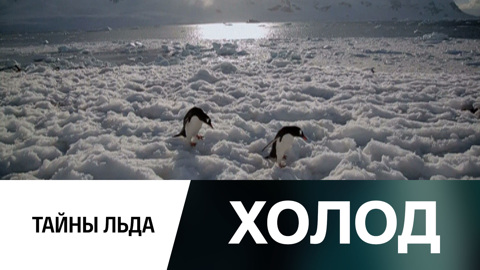 Тайны льда