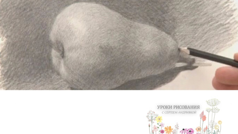 Груша