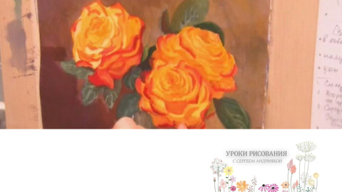 Розы на фоне