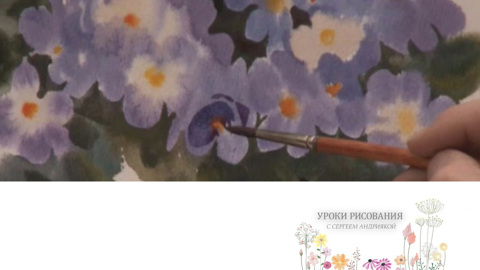 Фиалки
