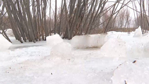 Грунтовые воды вышли на поверхность в нескольких районах Забайкалья