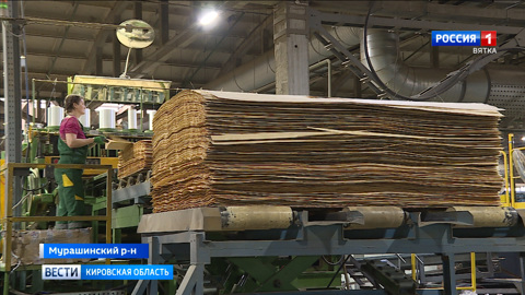 Кировская область может стать лидером по производству фанеры в России