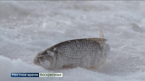 Эфир от 26.03.2023