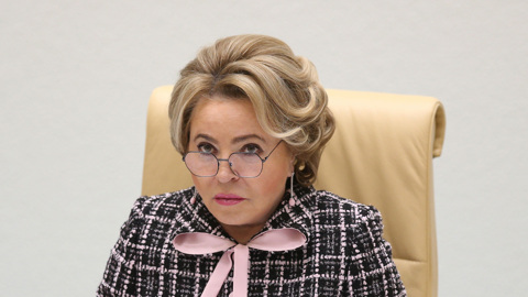 Матвиенко допустила возможность использования параллельного импорта фильмов