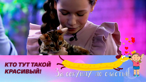 Как приручить маленького хищника