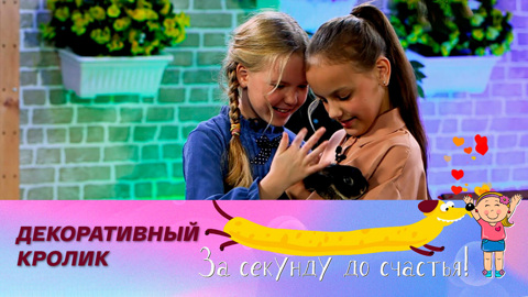 Самый милый и добрый