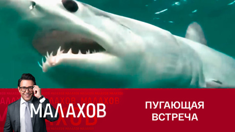 Как путешественник Федор Конюхов сразился с акулой