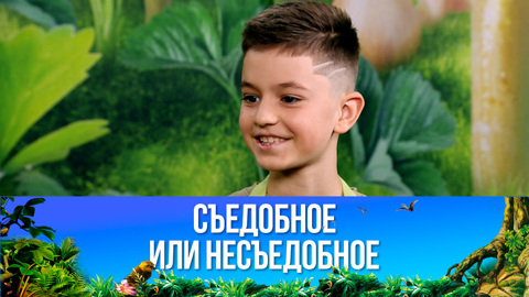 Рисовая лапша с креветками. Эфир от 18.02.2023