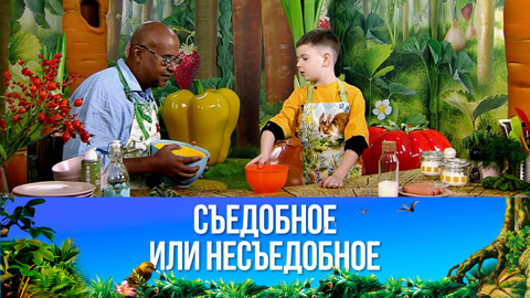 Сосиска в тесте без драже. Эфир от 21.01.2023