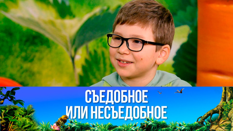 Ролл с ветчиной и сыром. Эфир от 25.03.2023