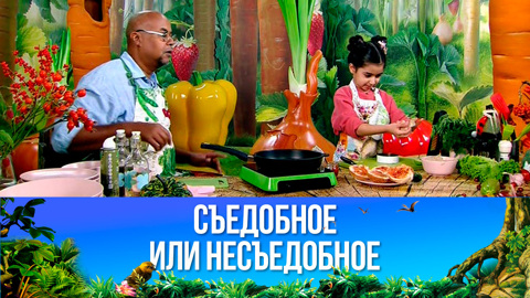 Фирменный бургер. Эфир от 14.01.2023