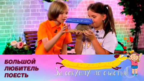 Как кормить и ухаживать за хомяком