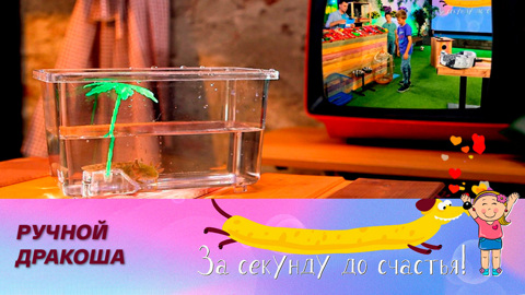 У кого всегда хорошее настроение