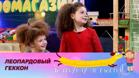 Почему ящерицы отбрасывают хвосты
