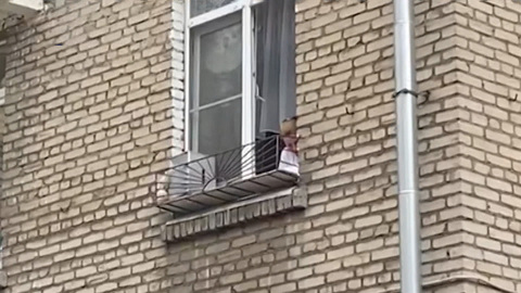 Когда собственная жилплощадь становится полем боя