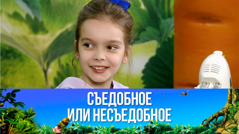 Оладушки с сахарной пудрой. Эфир от 29.04.2023