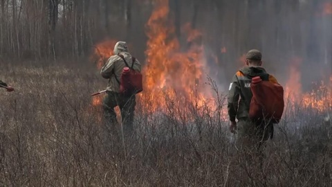 Ситуация с природными пожарами в России остается сложной