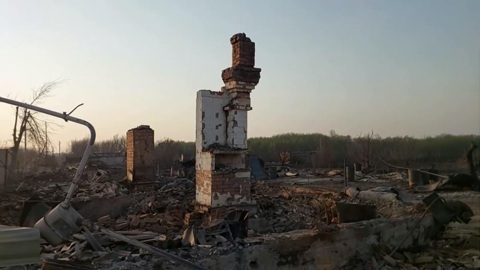 В Курганской области ликвидируют последствия лесных пожаров