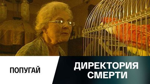 Попугай